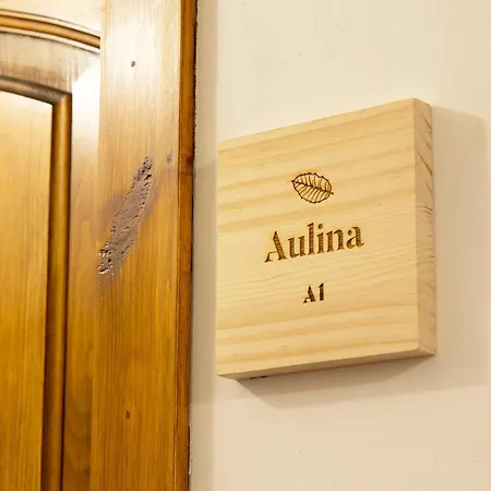 Apartment Allotjaments Placa Major-aulina *